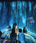 TeamLab Borderless Japan Tokyo
