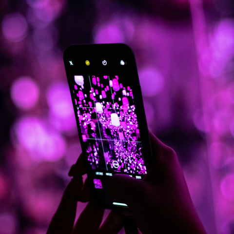 TeamLab Borderless Japan Tokyo