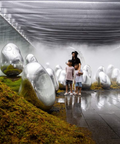TeamLab Planets Japan Tokyo