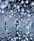 TeamLab Planets Japan Tokyo