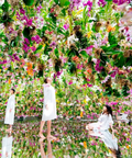 TeamLab Planets Japan Tokyo