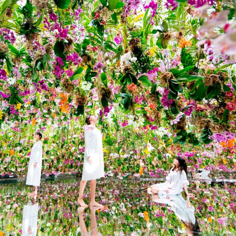 TeamLab Planets Japan Tokyo