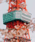 Tokyo Tower Japan Tokyo