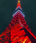 Tokyo Tower Japan Tokyo